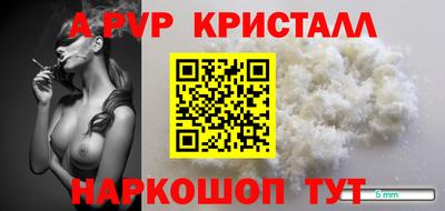 винт Кингисепп