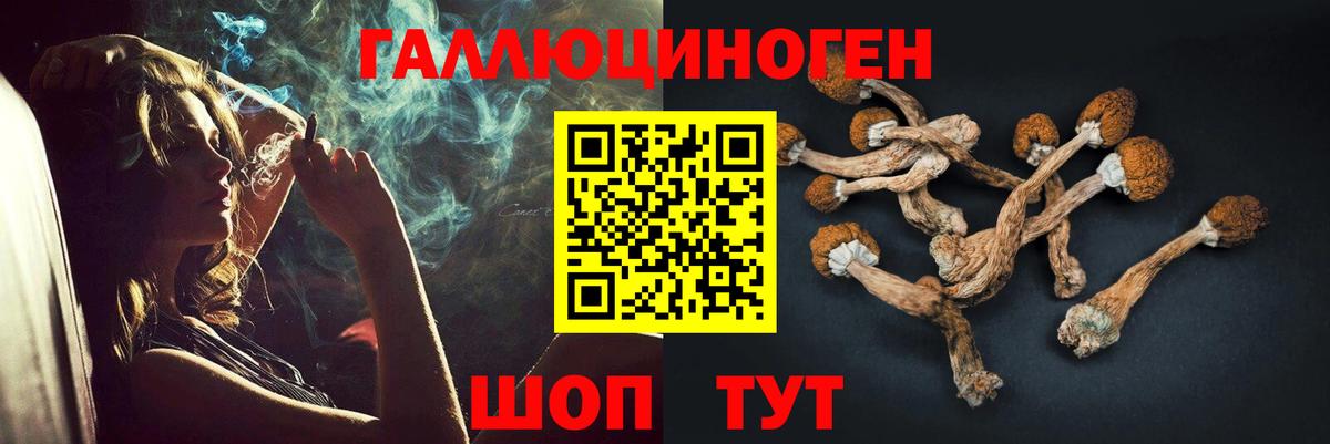 Псилоцибиновые грибы мицелий  Вход с VPN  Псилоцибиновые грибы Psilocybe  Глазов 
